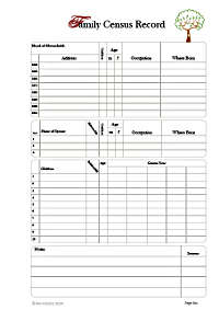 Census Record Page pack of 20 in 100gms White